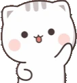 catHey emote