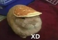 xd emote