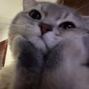 him emote