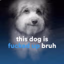 thisdogisfuckedupbruh emote