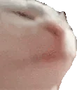 catJAM emote
