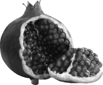 goth_pomegranate emote