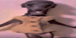 dons emote