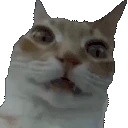 uhhh emote