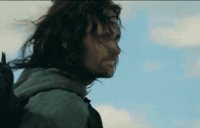 AragornHelmet animated emote