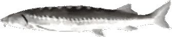 FrozenJoel emoji