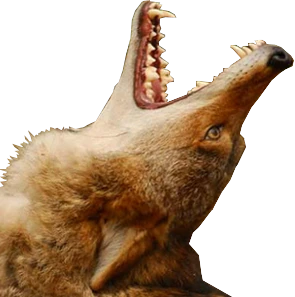 aaaaa emote