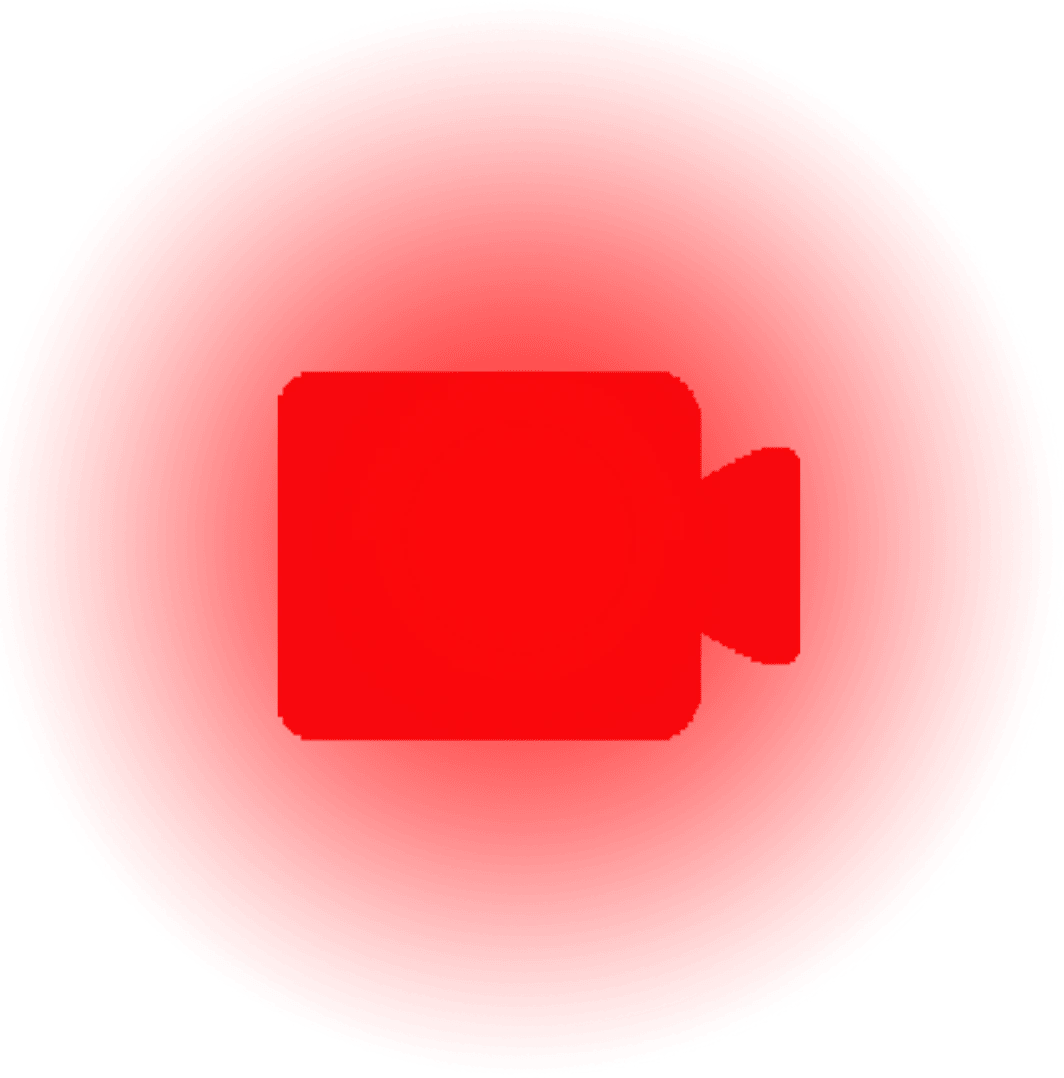 camera emote