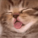 dead emote