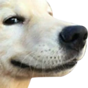 GoodBoy emoji