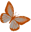 DarkOrangeButterfly emote