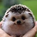 edgeoG emote