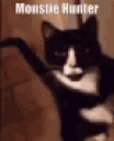 monstieHunter animated emote