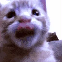 erm emote