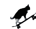 SkateboardingKitty emote