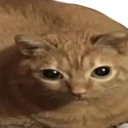Lasagn emote