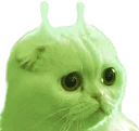 clorp emote