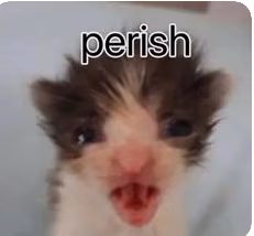 perish emote