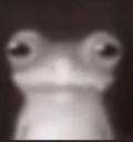 FROG emote