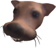 Sus_dog emote