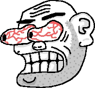 tgs_wtf emote