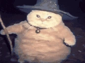 fatasswizardcastsblizzard emoji