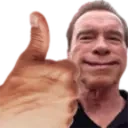arnoldProceed emote