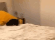 BunnySpeed emoji