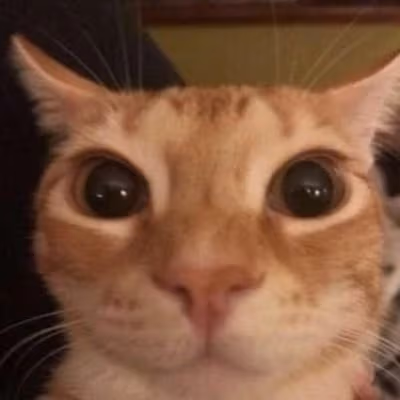 glungus emote