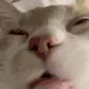 xuh emote