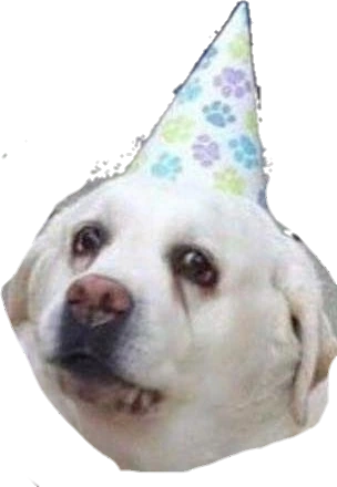 doggo2 emote