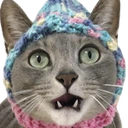 catShocked emote