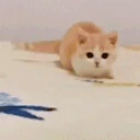 Arrive emote