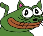 Catge emote