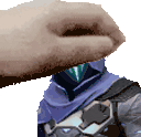 PETTHEOMEN animated emote