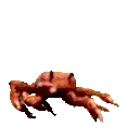 CrabDance animated emote