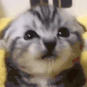 more4k emote