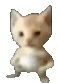 bibi emote
