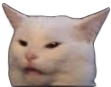 confusedCat emote