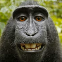 MONKEY emote