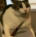 chatumare emote