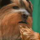 bbAlright static emote