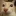 ot emote
