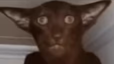 strashno emote