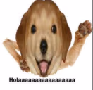 Holaaaaaaaaaaaaaa emote
