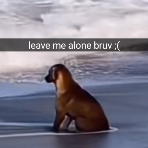 LeaveMeAloneBruv static emote
