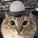 POLICE emote