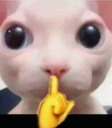 STFU emoji