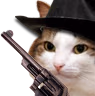 kiisu_cowboy emote