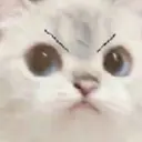 angy static emote